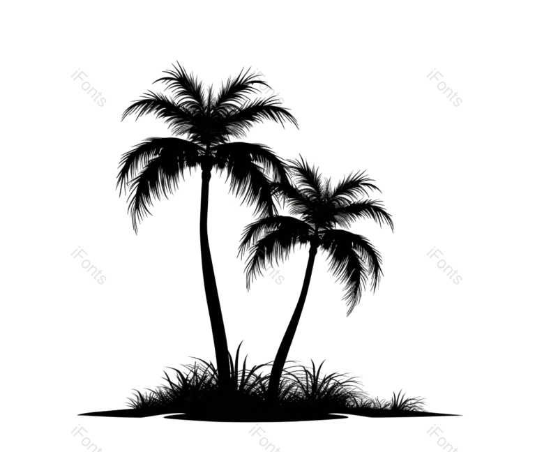 叶子图片,自然元素,椰子树PNG,植物免抠素材